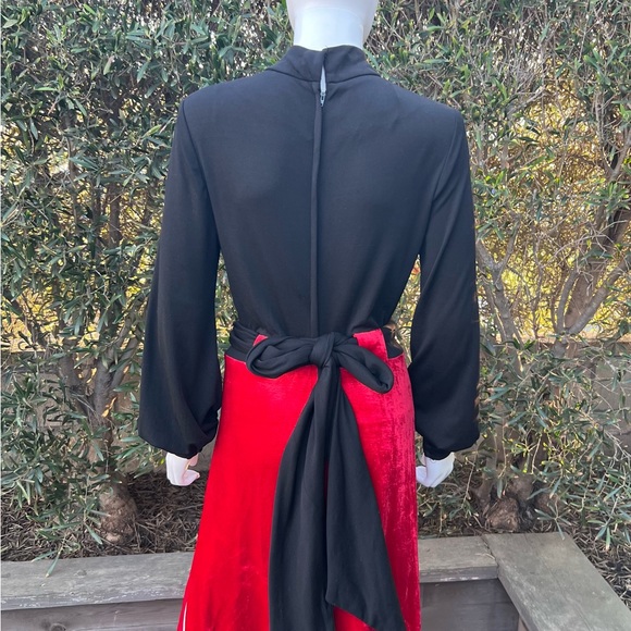 Vintage Red Velvet and Black Gown - Picture 3 of 10